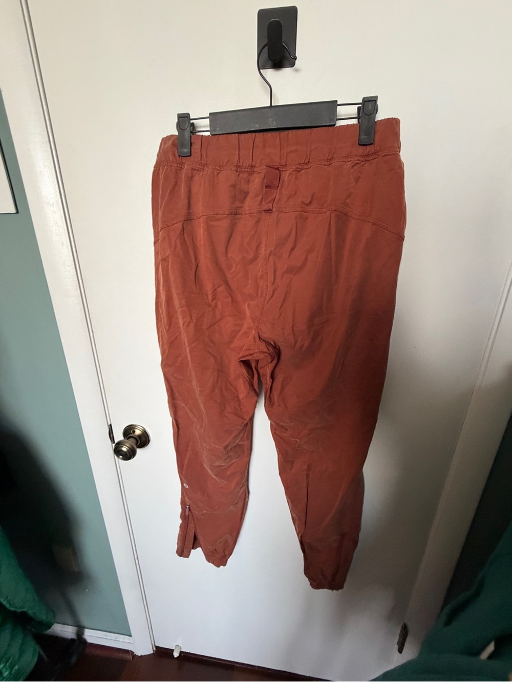 RARE Lululemon Adapted State Training
Jogger Dark Terracotta - Picture 5 of 5